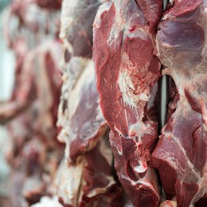 عوامل تاثیرگذار بر قیمت گوشت دام زنده
