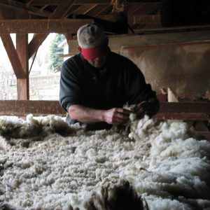 مراحل شستن پشم گوسفند